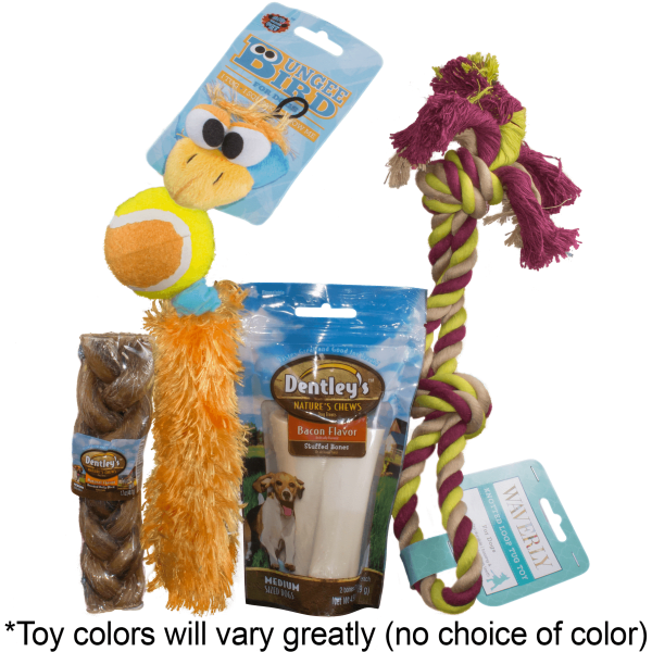 Dog Toy Bundle