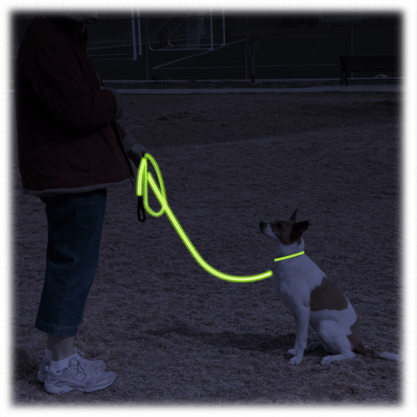 Meh 4ID LED Dog Leash and Collar