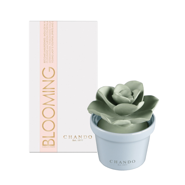Chando Diffuser MorningSave: Elegant Diffusers by Chando