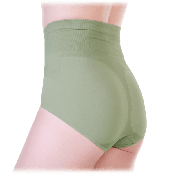 Morningsave 6 Pack Angelina Seamless Cotton High Waisted Light Control Panties 1446