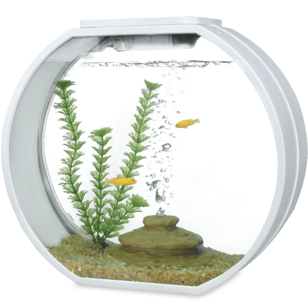 Complete Aquarium Kits 10L (small) or 20L (medium)