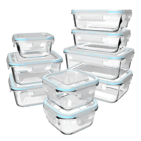 Salient 18 Piece Borosilicate Glass Food Storage with Easy Lock Lids