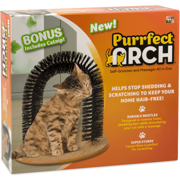 Purrfect Arch or Cat's Meow