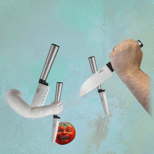 Meh 2forTuesday Ginsu Koden Stainless Steel Santoku and Paring