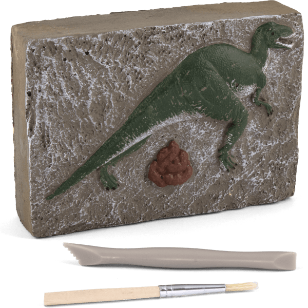 Dinosaur Poop Dig Kit