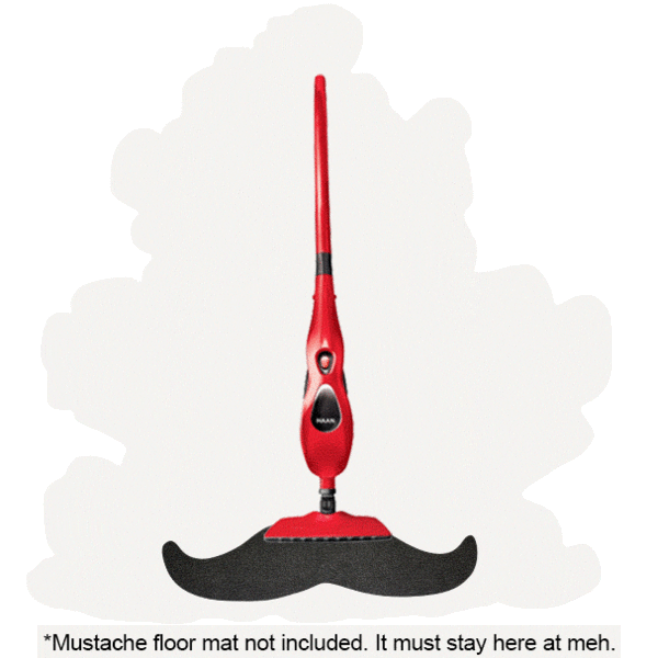 Haan Power and Finesse Steam Cleaner (Refurbished)