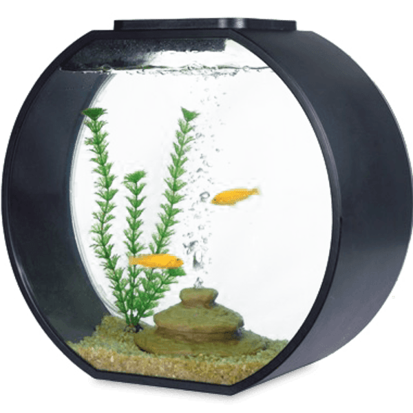 Meh: Complete Aquarium Kits 10L (small) or 20L (medium)