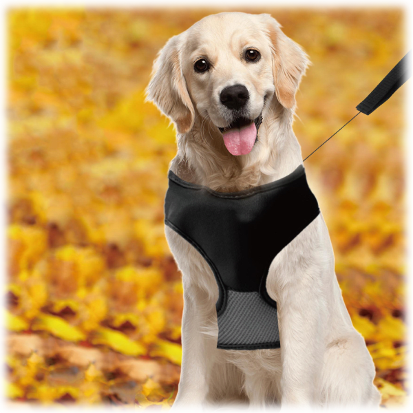 Meh 2forTuesday 2in1 Lucky Leash Retractable Dog Harnesses/Leashes