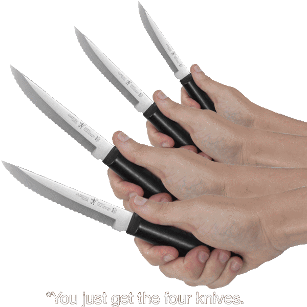 Meh J.A. Henckels Mikado 4Piece Steak Knife Set