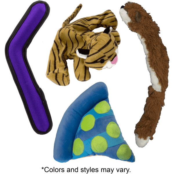 Petmate Dog Toy Bundle