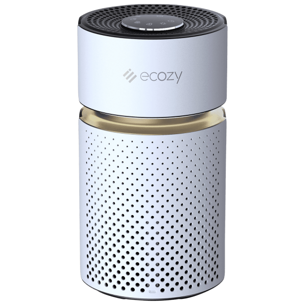 Ecozy Air Purifier With True HEPA Filter