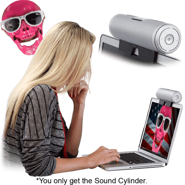 Definitive Technology Bluetooth Sound Cylinder