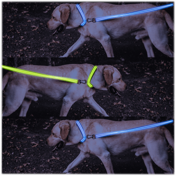 4ID LED Dog Leash and Collar