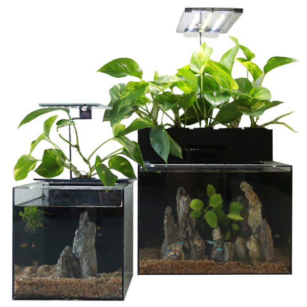 EcoQube Desktop Ecosystem: 2 or 3 Gallon Aquariums with Planter and LED Lights