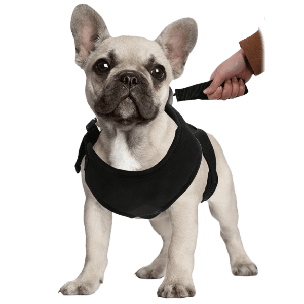 Meh 2forTuesday 2in1 Lucky Leash Retractable Dog Harnesses/Leashes