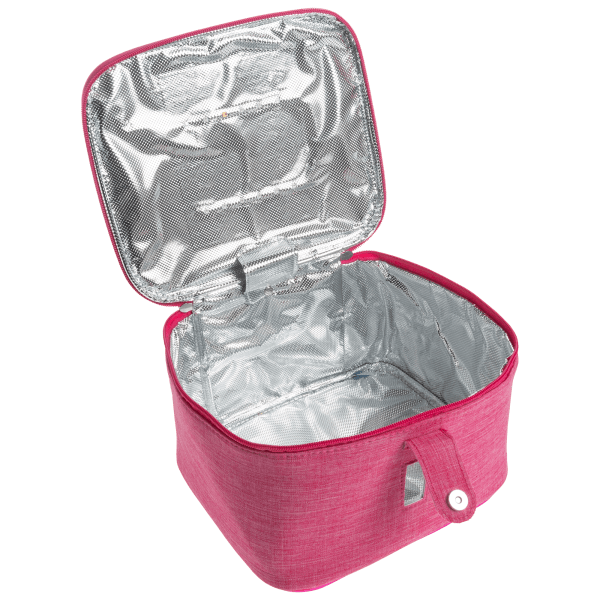 Meh: Hy-Genie Large UV-C Sanitizing Travel Bag