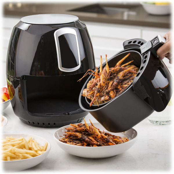 Meh Modernhome Essential 3.8 Quart Digital Air Fryers