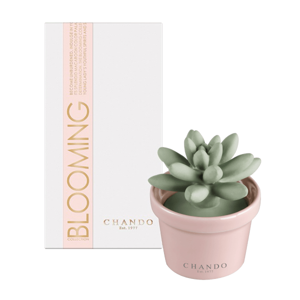 MorningSave: Chando Blooming Collection Blooming Love Diffuser