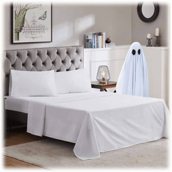 Meh 2Pack Ultrasoft 4Piece Classic Bed Sheet Sets (Queen)