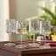 The Unbreakable German Glassware (Wine Glasses)