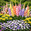 The Bee & Butterfly Flower Bulbs