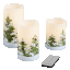 Artemis Juego de 3 Velas de Cera LED sin Llama con Control Remoto