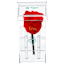 The Crystal-Encased Preserved Rose