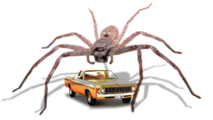 Spider freakout warning