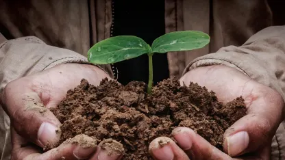 MIT: consumers with bad taste, harbingers of failure, potential to change management practice