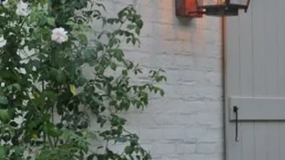 Meh finally found the perfect formula