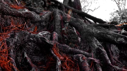 herllllloooo1!!!/... ddeddrdrunk aws skunk