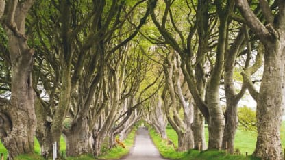 Which of these 14 great basslines is your favorite?