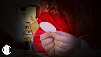 4-25-20 Lights, camera, action...