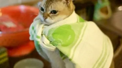 Your best/worst pet pictures