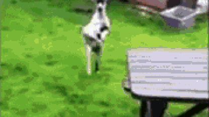 It's Goat-Hunting Season Again! (April 2017 Nominations)