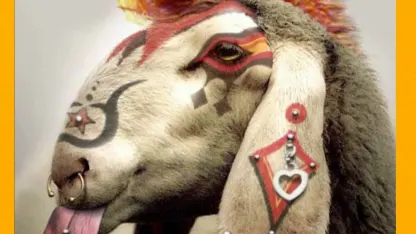 Congratulations to @Pavlov. Our newest Scapegoat!