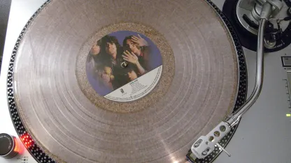 Does anyone else out there play vinyl records?