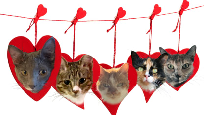 What is Lincoln’s Waffle Breakfast for my Valentine? Alex. (February Blame Thread)