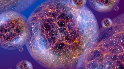 Lost in the Multee-verse?