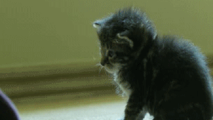 Please do not put community topics in the Broadcast Jail. It's just mean.