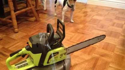 Will you guys ever do another Robot Vaccum sale?