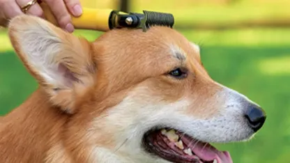 Pat Your Pet Pawradise Deshedding Dog Brush