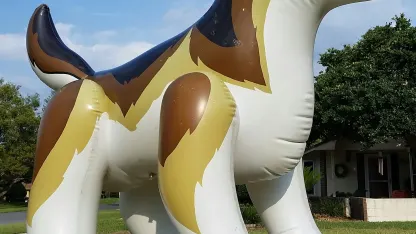 Inflatable of the Day 4/1