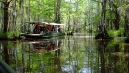 Sightseeing in the Big Easy