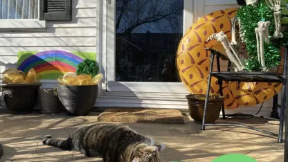 Happy St. Patrick's Day!