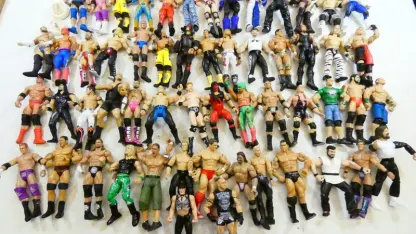 Wasn't somebody here looking for Pro Wrestling action figures?