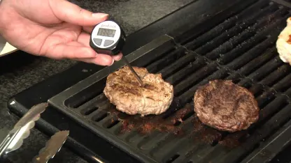 PSA: Chef Pals meat thermometer is not your Pal
