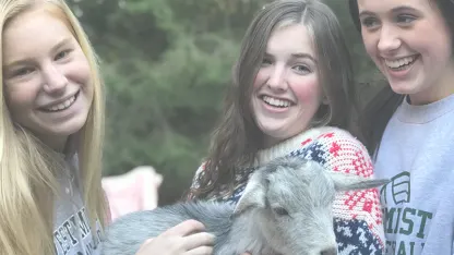 Someone needs to send this to the goat