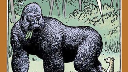 Where do you get your protein?