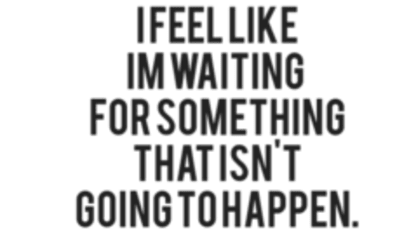 I let my vmp renew for this??